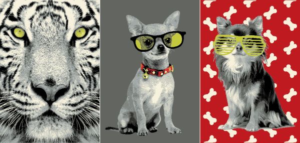dywany Dywany w stylu pop-art